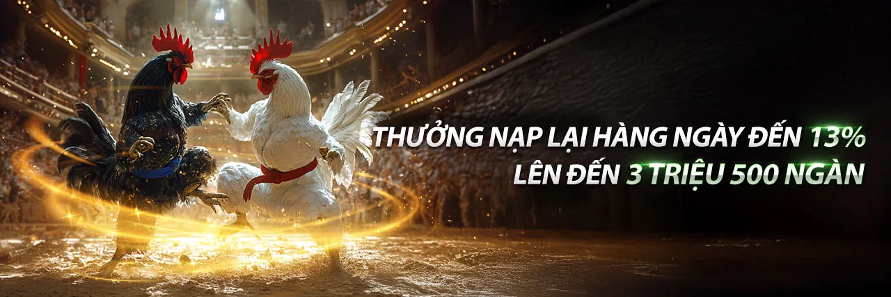 Đá gà trực tuyến sôi động tại betvnd9 nhà cái