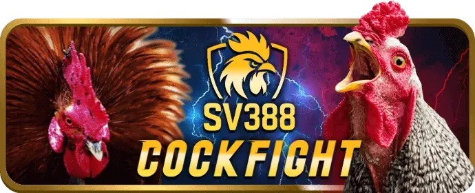 Cá cược thể thao tại betvnd9 nhà cái