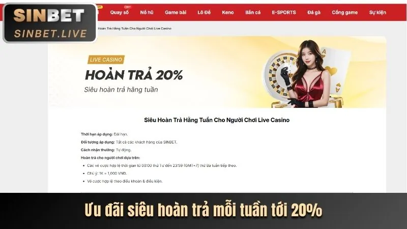 Khuyến mãi và ưu đãi betvnd9 nhà cái